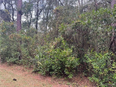 6617 and 6633 E Hampton Ln, Inverness Highlands South, FL 34452 - photo 3