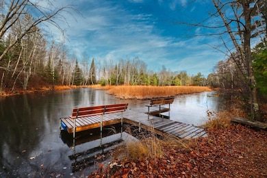 9335 Little Bearskin Creek Rd, Harshaw, WI 54529 - photo 5