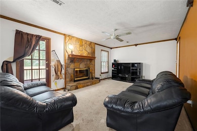 Living area featuring crown molding, carpet, a ceiling fan, a fireplace, and a textured ceiling
