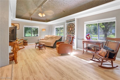 Living room with a raised ceiling, light wood-type flooring, and ceiling fan