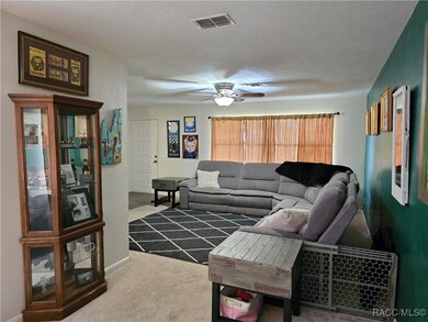 255 W Staggerbush Path, Beverly Hills, FL 34465 - photo 5