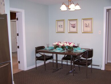 862 E Algonquin Rd, Des Plaines, IL 60016 - photo 5