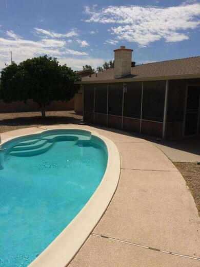 Pool AZ Room Citrus Tree 4214