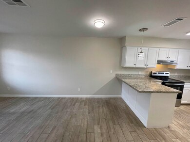 3005 E Price St unit 4, Laredo, TX 78043 - photo 5