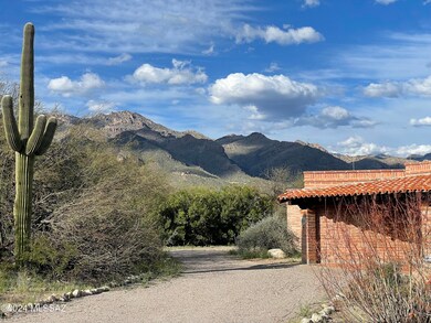 Catalinas