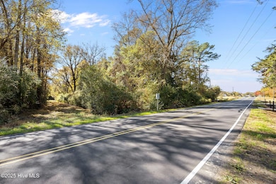 3278 Moye-Turnage Rd, Farmville, NC 27828 - photo 3