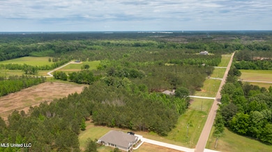 Lot 51-5