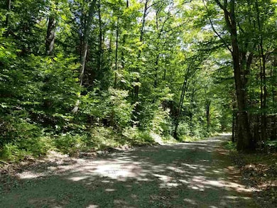 0 Straits Rd unit 2, New Hampton, NH 03256 - photo 6