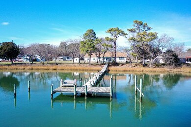 Dock and back yard