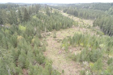 333 Highland Dr E, Roy, WA 98580 - photo 4