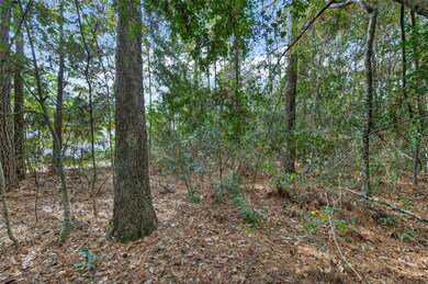 Lot 453 N Woods, Cleveland, TX 77328 - photo 5