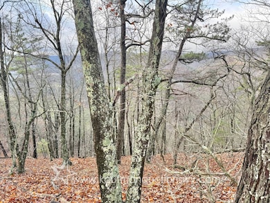 43 Highland Dr, White Sulphur Springs, WV 24986 - photo 7