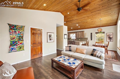 9845 Mesa Rd, Cascade, CO 80809 - photo 4