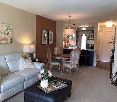 1951 NE 39th St unit 249, Lighthouse Point, FL 33064 - photo 4