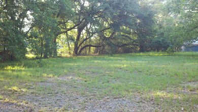 0 E Circle St unit 617094, Jacksonville, FL 32216 - photo 2