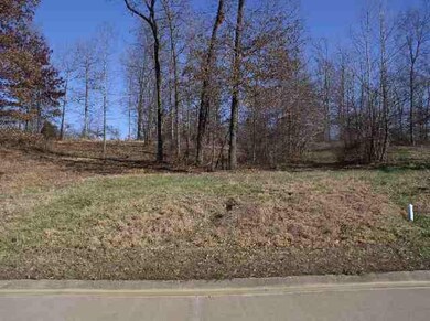 Lot 60 Fairway Dr, Benton, KY 42025 - photo 2