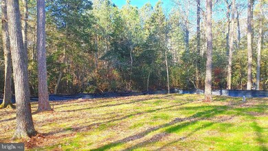 120 Touhey Dr, Stevensville, MD 21666 - photo 2