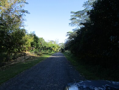 0 8th Ave unit 717935, Keaau, HI 96749 - photo 4