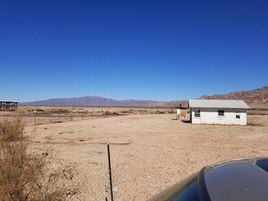 20250223_110131_resized
