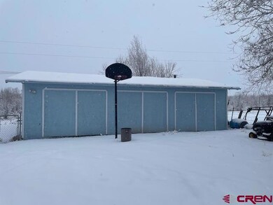 16424 Bull Mesa Rd, Cedaredge, CO 81413 - photo 4