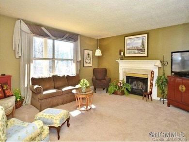 149 Wendy Ln, Hendersonville, NC 28792 - photo 4