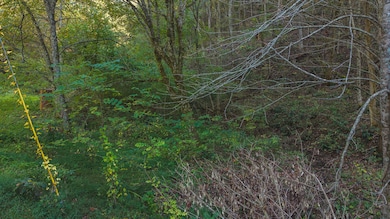 69.26 Acre Wolfe Rd, Sneedville, TN 37869 - photo 4