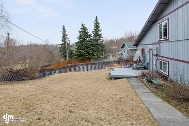 Backyard_CG_1477-SMALL