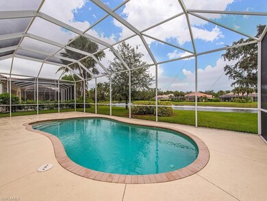Custom Heated Pool, custom Lanai Cage, 2 side entr