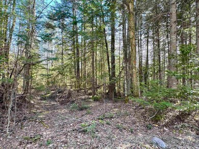 0 Bungy unit 4991867, Columbia, NH 03576 - photo 4