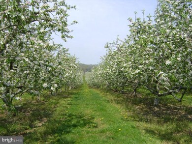 7836 Water St, Boyertown, PA 19512 - photo 5