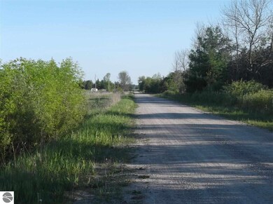 14/15 Wilson Creek Rd, Hale, MI 48739 - photo 4