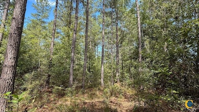 0 Peurifoy Rd unit 25512581, Walterboro, SC 29488 - photo 6