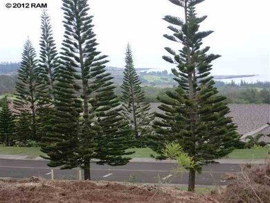 Molokai, 16th Fairway View