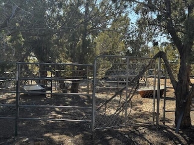 1 of 2 Corral