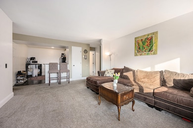 722 W Kilgore Rd unit 301, Kalamazoo, MI 49008 - photo 5