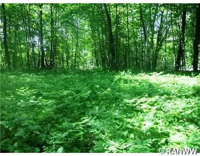 0 Moser Dr unit 872758, Webster, WI 54893 - photo 4