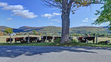 2-Bovine View