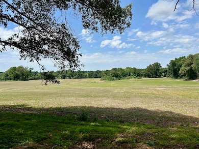 View of grassy yard