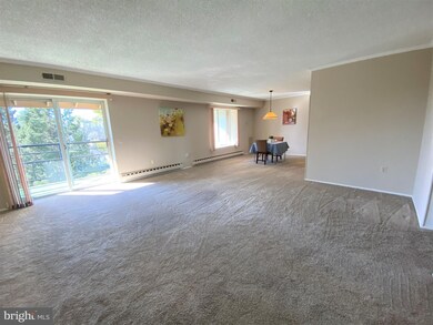 15400 Bassett Ln unit 3A, Silver Spring, MD 20906 - photo 4