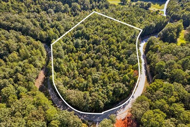 3.99 AC Sweetwater Dr, Clarkesville, GA 30523 - photo 7