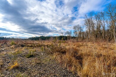 0 U S 12 unit Lot 2 NWM2273307, Napavine, WA 98532 - photo 6