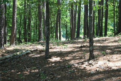 134 Bridgeland Trail unit Lot 3, Statesville, NC 28677 - photo 5