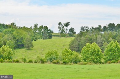 2710 Swover Creek Rd, Edinburg, VA 22824 - photo 2