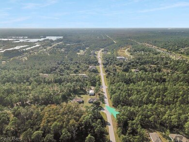 2025 Grayson Ave, Alva, FL 33920 - photo 4