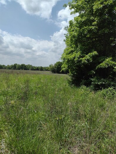 0 Central Grove Rd & Marling Rd N unit MIS25030827, Montgomery, MO 63359 - photo 6