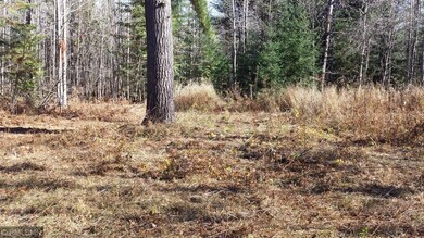 Heavily Wooded