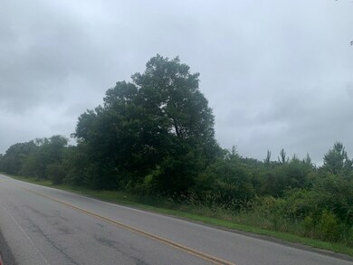 0 King Rd unit 132709, Tifton, GA 31793 - photo 5