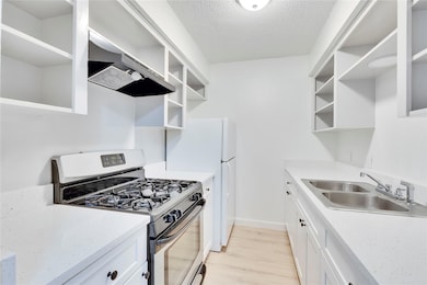 Kitchen with open shelves, gas stove, extractor f