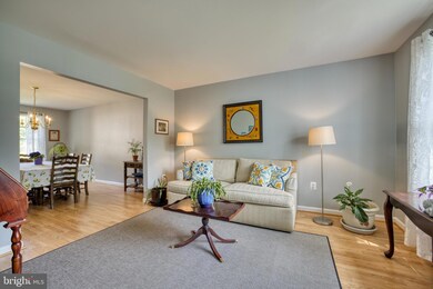 3815 Lawrence Ave, Kensington, MD 20895 - photo 6