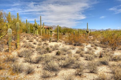 0000 N Camino Kino unit 253, Catalina Foothills, AZ 85718 - photo 6